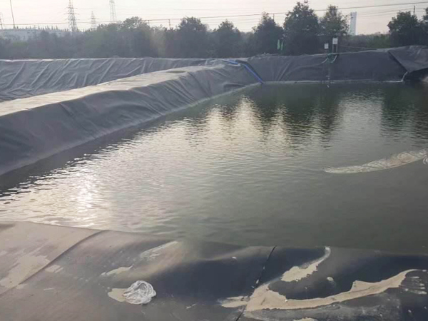 藕池養(yǎng)殖膜